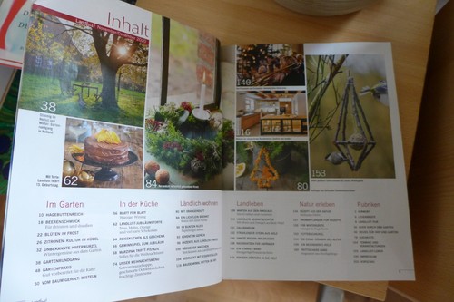 LandLust Nov Dez 2020 Adventsdeko - Bild 2 von 2