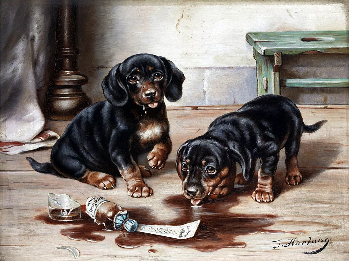 Tile for top your dog