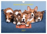 "Calendar 2027 · US Version · Basenji Beauties (Wall Calendar 2027 12\" × 8\" Lands"