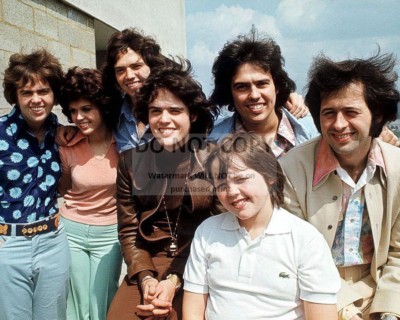 ''THE OSMONDS'' FAMILY MUSICAL GROUP DONNY MARIE - 8X10 PUBLICITY PHOTO (EP-128)