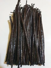 50 Ugandan Gourmet Grade A Bourbon Vanilla Beans 5-6 inches NEW 2023 HARVEST!