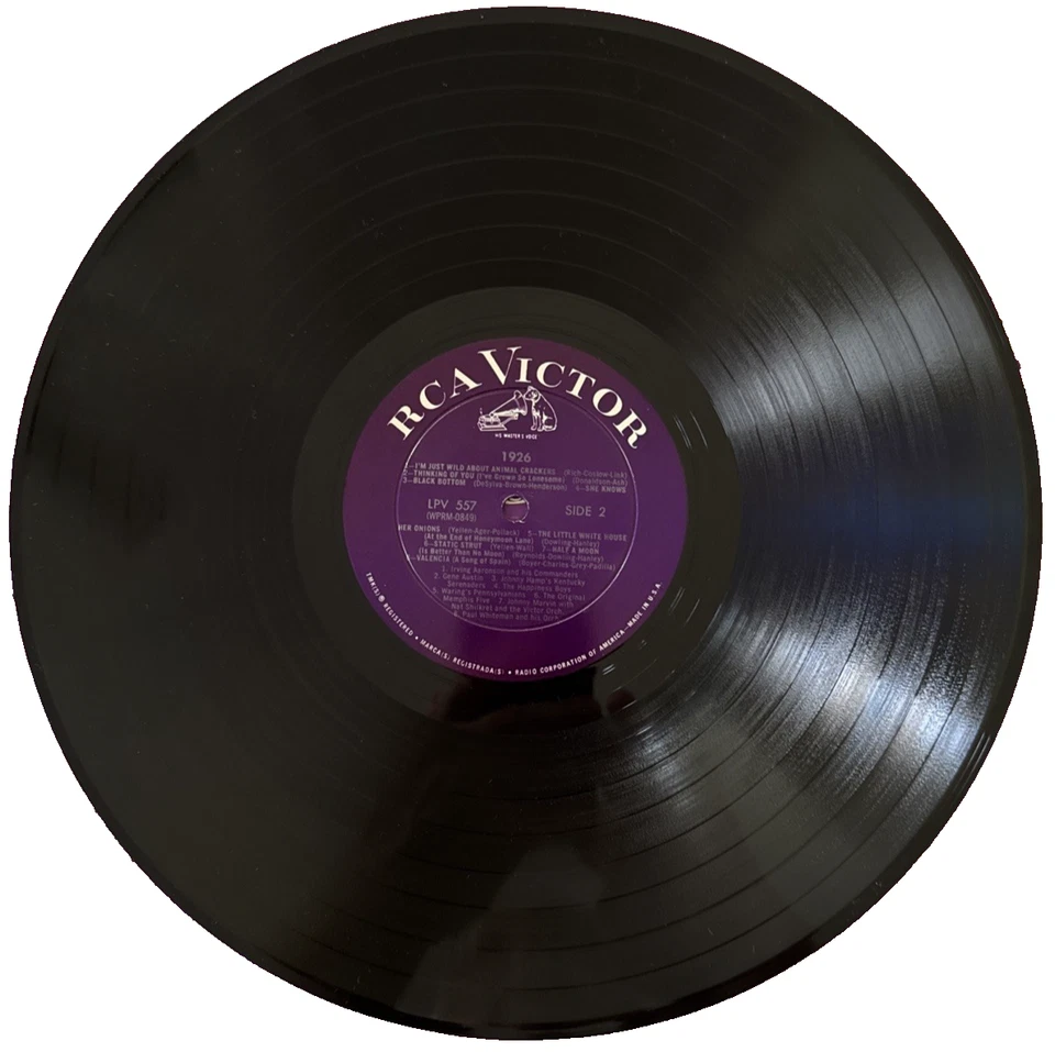 PAUL WHITEMAN & Others - 1926 ~ RCA 557 w/Jesse Crawford, Revelers, others Vinyl - Image 4 of 4