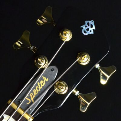 ベース Spector Euro 4LX PW Magenta Pink Gloss Spector Euro 4LX PW Magenta Pink Gloss ベース