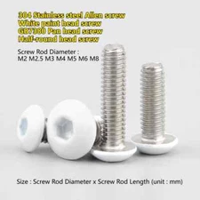 M2 M2.5 M3 M4 M5 M6 M8 304 Stainless steel White paint pan head Allen screws