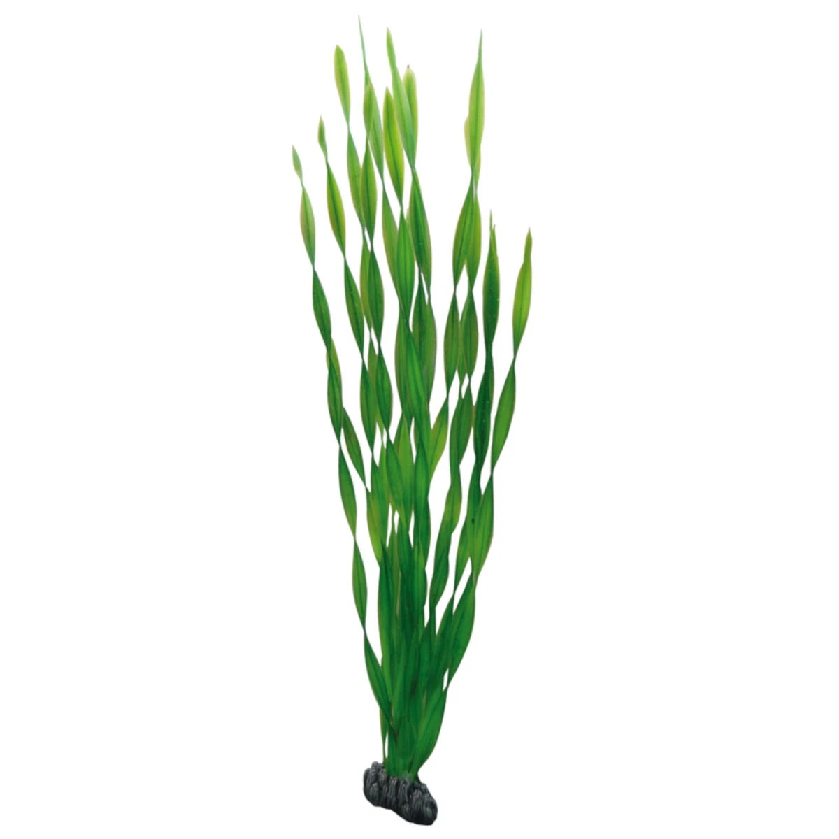 Knstliche Pflanzen fr Aquarien online kaufen | eBay.de