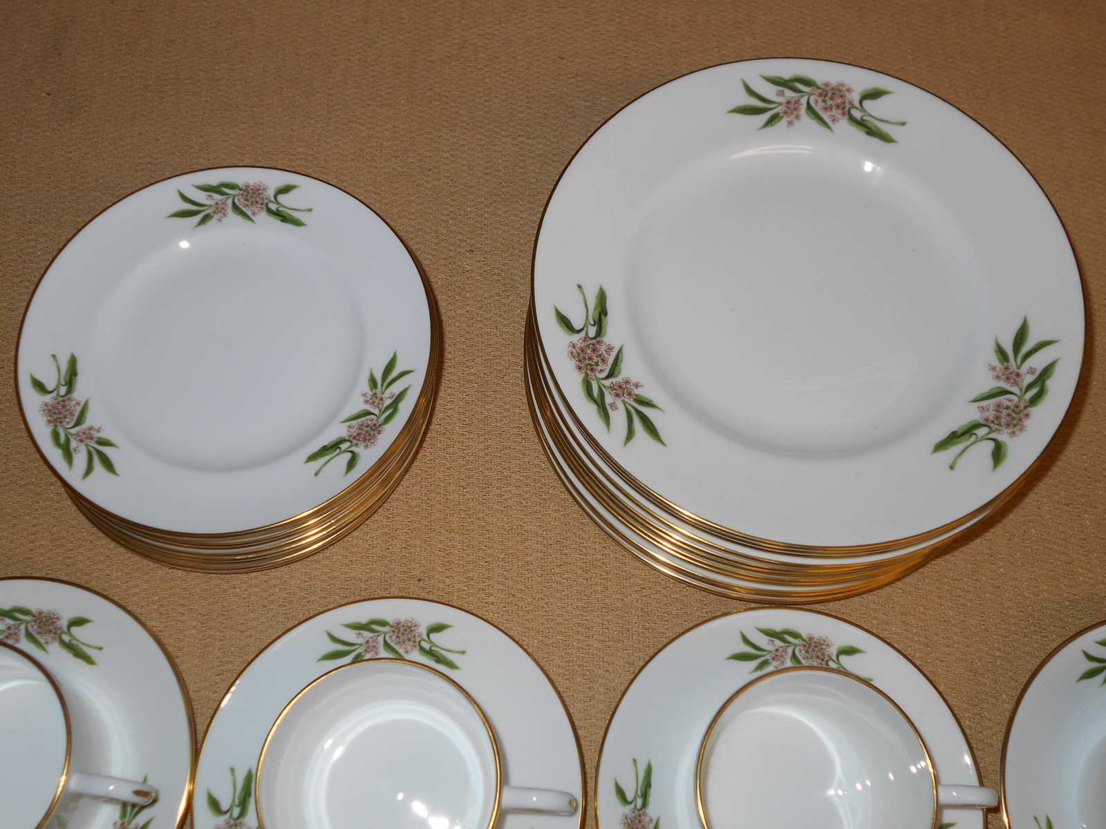 Coalport Porcelain Luncheon Set Pink Roses On Rim COA217 Strawbridge & Clothier