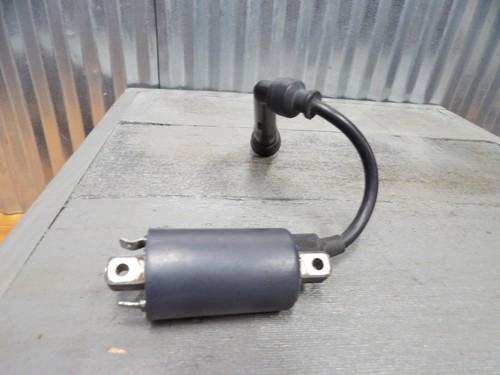 Polaris 800 Ranger 2013 Polaris Ranger XP 800 Ignition Coil Kit - Foto 6