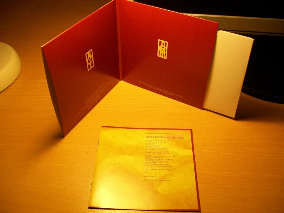 NATION OF LANGUAGE: Dance Called Memory (Sup Pop,Synth-Pop, Post Punk, Wave 2025 - Bild 2 von 4