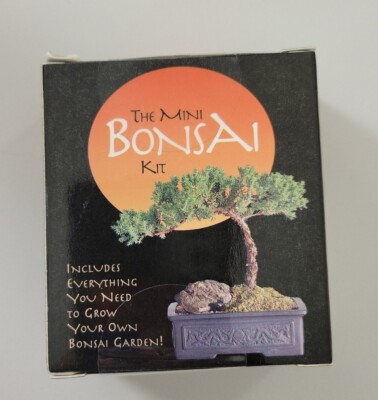 The Mini Bonsai Tree Great Gift Idea! 