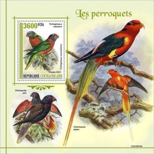 PARROTS Tropical Bird/Birds MNH Foglio timbro 1v #1209 (2021 Africa Centrale)