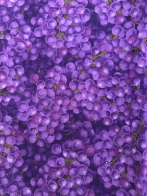 Timeless Treasures Grape Print Fabric Purple Cotton 37'' x 44''