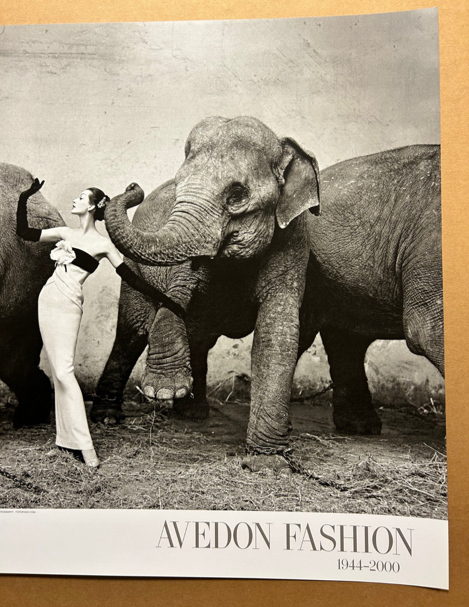 Dovima with Elephants, Evening Dress by Dior 1955 Richard Avedon