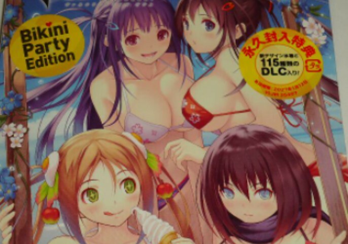Sony PS Vita VALKYRIE DRIVE -BHIKKHUNI- Bikini Party Edition