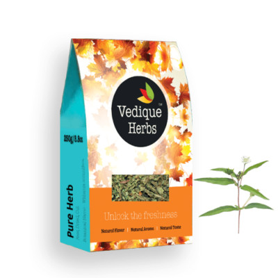 VEDIQUE HERBS Bhringraj (Falsches Gänseblümchen | Eclipta alba) - 250g (8,8oz) | Roh, Cr...