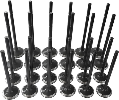 #ad 24Pcs Intake Exhaust Valves Compatible with Jaguar F Pace F Type XE XF XJ for La $96.24