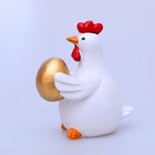 Foto 9 di 12