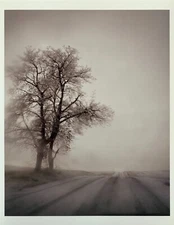 Todd HIDO - Hand signed C-Print