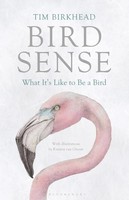 Bird Sense | What It's Like To Be A Bird | Tim Birkhead | Englisch | Taschenbuch