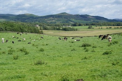 Foto A2 Milchproduktion auf Throstle Nest Farm Eshton laut c2011