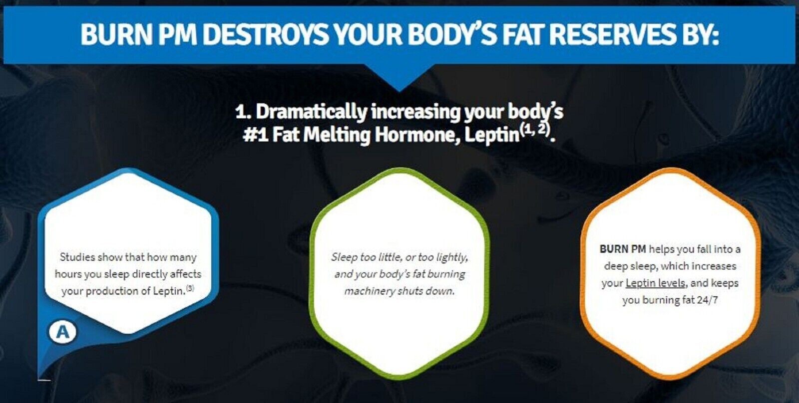 Burn Evolved + Burn Pm + Turmeric Black FAT LOSS STACK Weight