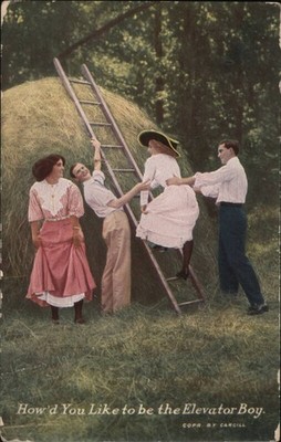Comic How'd You Like the Elevator Boy 1910 NELSONVILLE, OH Vintage Postcard