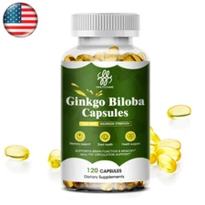 Ginkgo Biloba Capsules 500MG Memory Brain Health Support Antioxidant USA