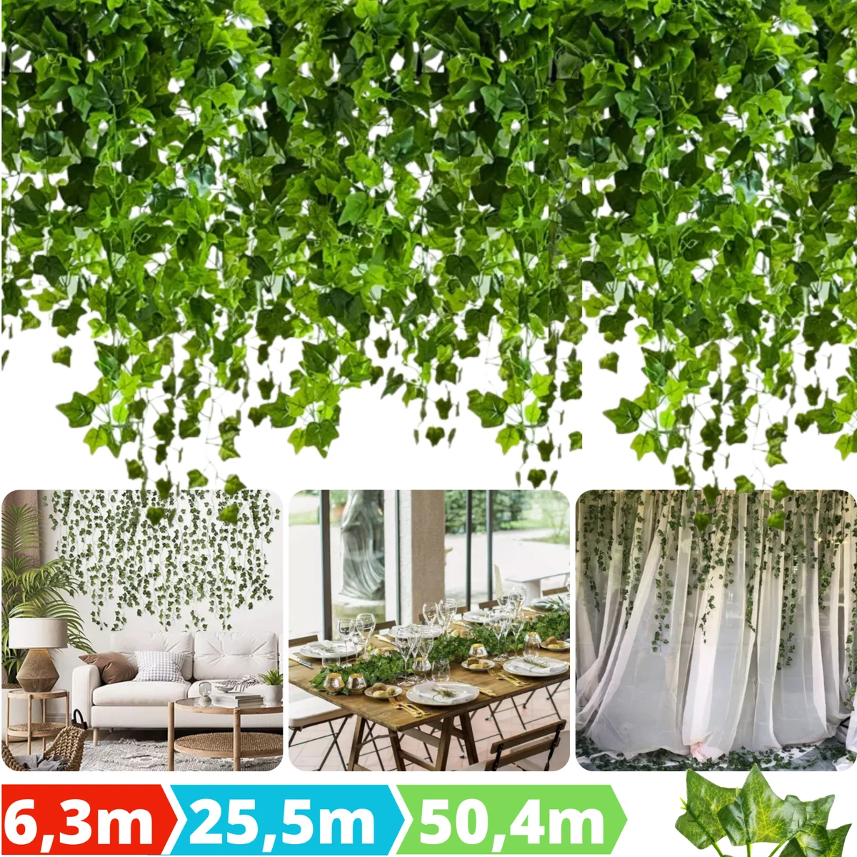 fargesia simba Bambus Simba (Fargesia murieliae 'Simba') | 60-80 cm im Topf