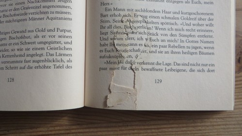 Bernhard Hennen - Die Nibelungen - Das Nachtvolk, TB 1997 - Bild 11 von 12
