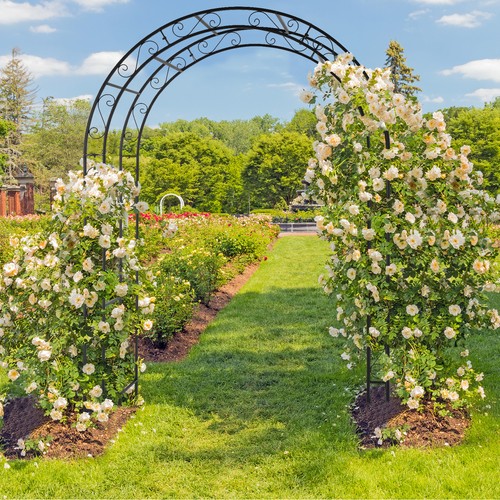 Metal Garden Arch Wedding Arch Garden Arbor Archway for Indoor/Outdoor Wedding - Picture 2 of 9