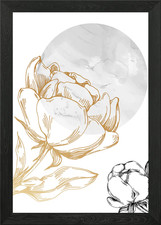 Peonies Framed Wall Art Poster Canvas Print Picture