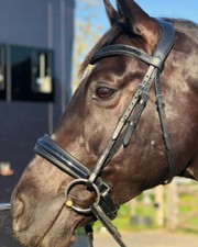Dressage Leather Bridle For Horse With Shimmer Rock Crystal Brow-band All Size