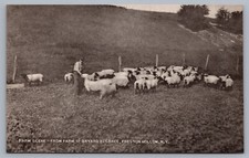 Escena de granja Bayard Elsbree Preston Hollow NY postal condado de Albany I12