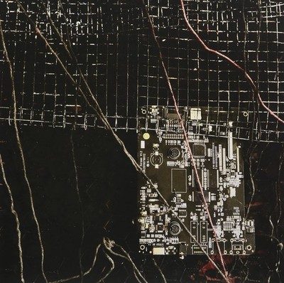 Merzbow / Prurient Black Crows Cyborg (Vinyl)