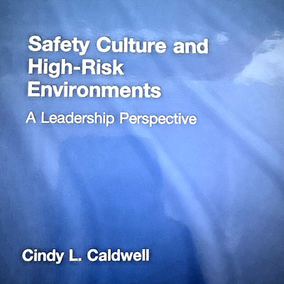Safety Culture and High Risk Environments A Leadership Perspective by C Caldwell