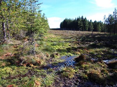 Photo 6x4 Waterlogged fire break by boundary fence Dalchreichart Had to u c2010