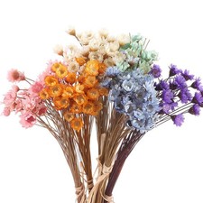 Dried Flowers Brazilian Small Star Daisy, 15" Decorative Mini Chamomile Bouquet