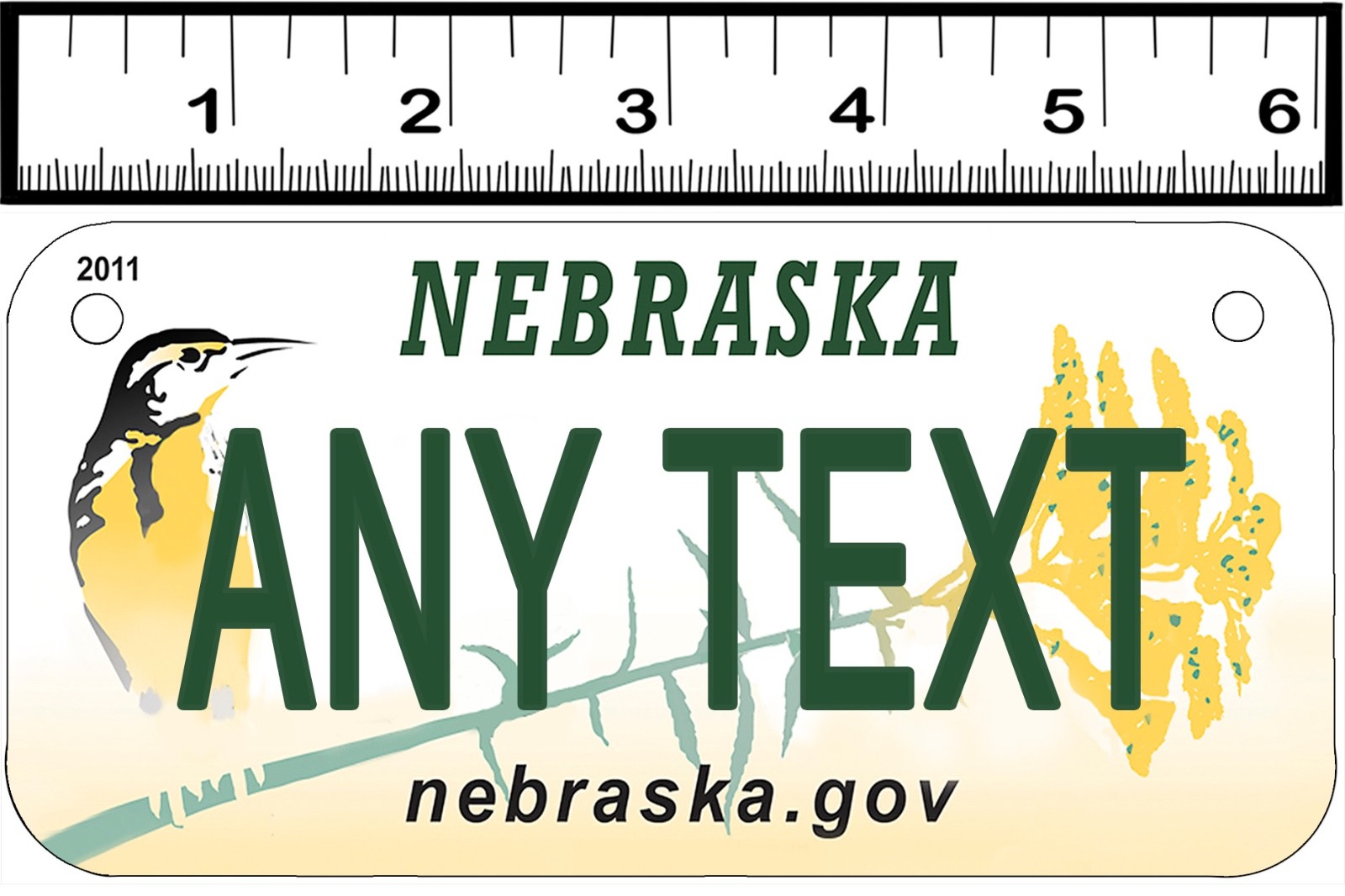 CUSTOM PERSONALIZED 2 HOLE BICYCLE STATE LICENSE PLATE NEBRASKA 1 eBay