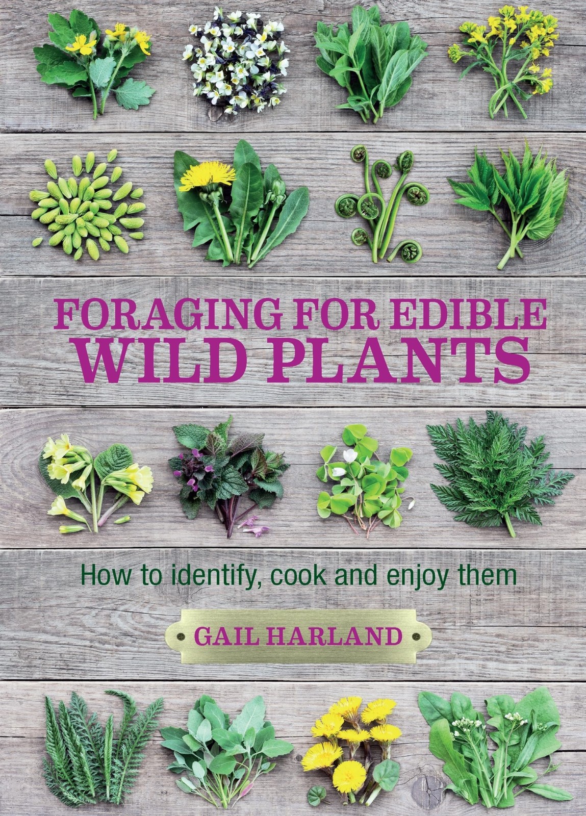 Foraging for Edible Wild Plants: How to Identify, Cook and Enjoy Them - Image 9