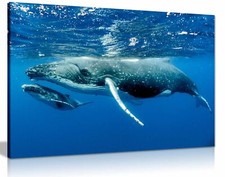 Buckelwal Ozean SeaLife Meer Natur Leinwand W...