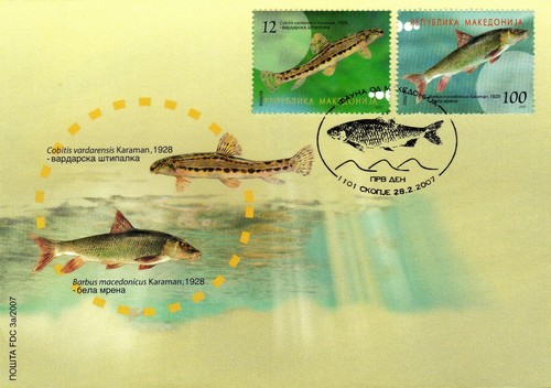 Republic of North Macedonia/2007/FDC/Animals/Fish - Picture 3 of 3