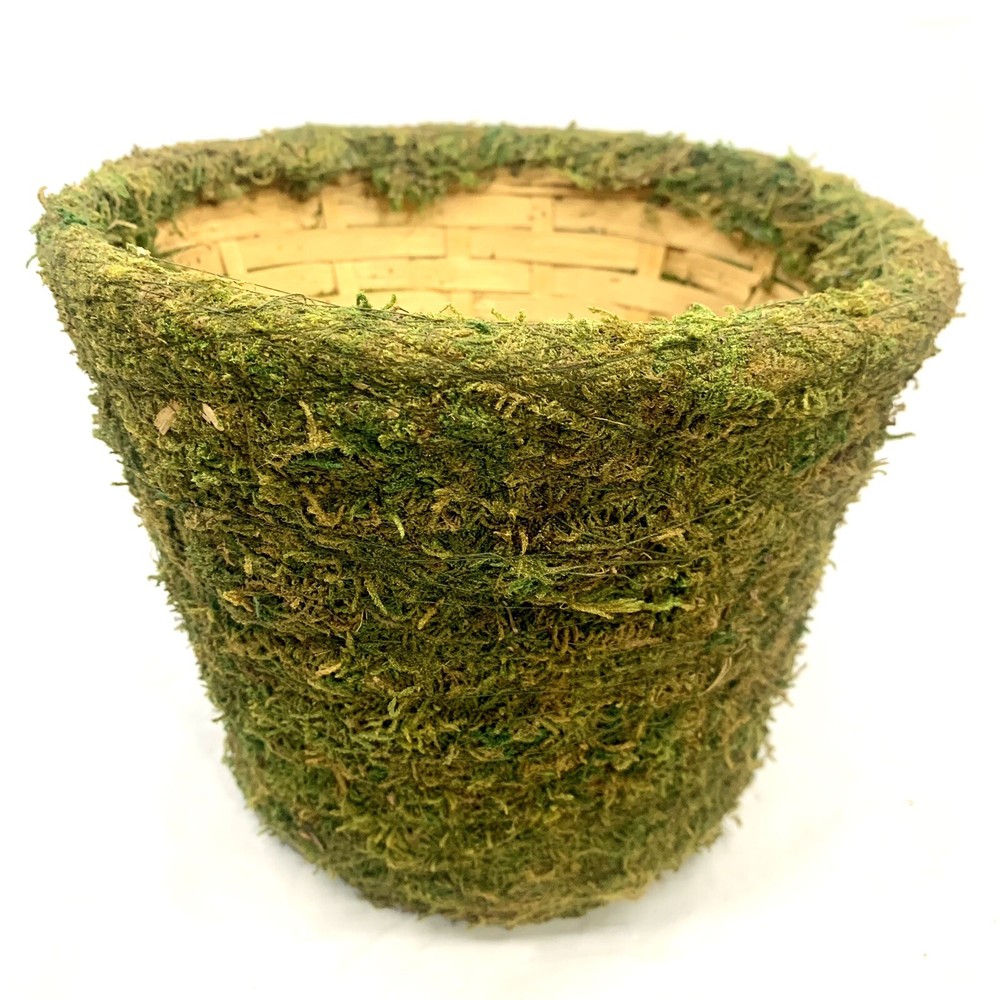 Moss Woven Wicker Basket Planter 6.5H x 8W Forest Style Plant Decor  
