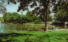Postcard IL Moline Illinois Riverside Park Lagoon Chrome Vintage PC M1884