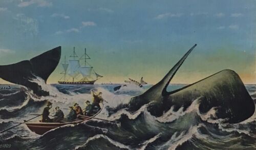 Postkarte Gefangennahme eines Pottwals Leinen Walfangschiff Mid Century Modern Vintage - Bild 1 von 5