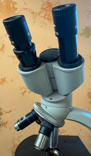 Carl Zeiss Standard 4 Binocular Microscope W/ 10x Eyepiece Lenses / 4 Objective - Picture 6 of 14