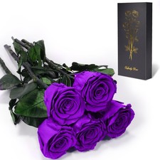 1 PCS Preserved Flowers Rose for Mom Grandma Birthday Valentine's Day