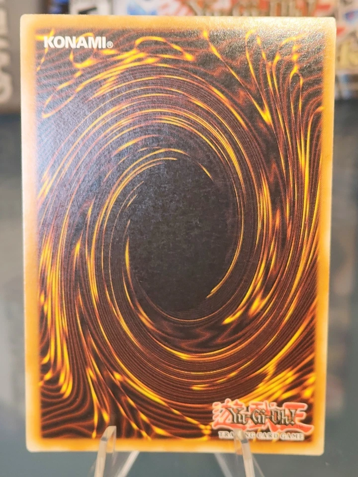 Dark Magician, Foto 4 von 4