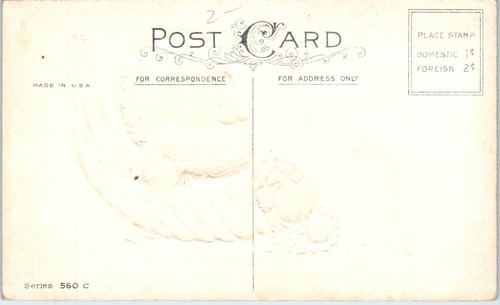 Patriotic Thanksgiving Postcard US Flag Stecher Turkey Pumpkin Cornocoppia - Picture 2 of 2