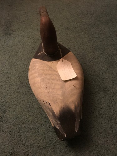 CIRCA 1900-20's CANVASBACK BEAUTIFUL Chesapeake Bay 100% ORIG PAINT - Picture 2 of 12