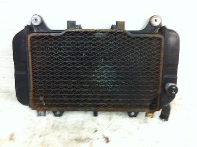 Zxu60 Radiator 1993 93 Kawasaki Ninja ZX600E ZX600 ZX 600 ZX6E ZX6 Radiator | eBay