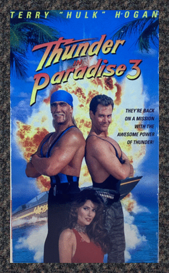 Thunder in Paradise 3 (1994) Terry 